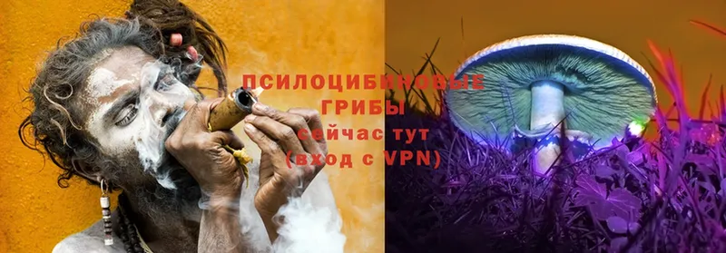 Где купить Катав-Ивановск СОЛЬ  Меф  Гашиш  Бошки Шишки 